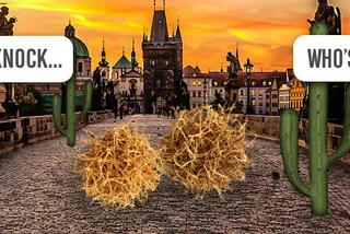 20 Czech Jokes that Fail in English