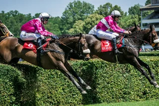 Why the Great Pardubice Steeplechase is one of Czechia's most enduring events