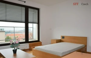 Apartment for rent, 1+KK - Studio, 39m<sup>2</sup>