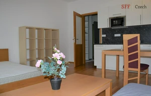 Apartment for rent, 1+KK - Studio, 39m<sup>2</sup>