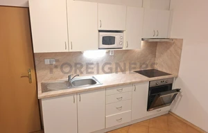 Apartment for rent, 1+KK - Studio, 25m<sup>2</sup>