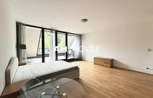 Apartment for rent, 1+KK - Studio, 44m<sup>2</sup>