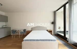 Apartment for rent, 1+KK - Studio, 44m<sup>2</sup>