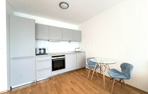 Apartment for rent, 1+KK - Studio, 44m<sup>2</sup>