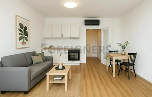 Apartment for rent, 1+KK - Studio, 39m<sup>2</sup>