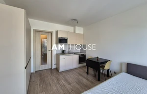 Apartment for rent, 1+KK - Studio, 30m<sup>2</sup>