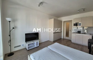 Apartment for rent, 1+KK - Studio, 30m<sup>2</sup>