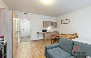 Apartment for rent, 1+KK - Studio, 36m<sup>2</sup>