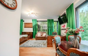 Apartment for rent, 1+KK - Studio, 42m<sup>2</sup>