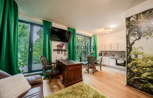 Apartment for rent, 1+KK - Studio, 42m<sup>2</sup>