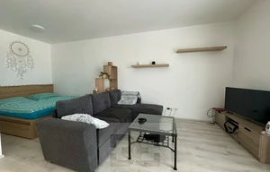 Apartment for rent, 1+KK - Studio, 44m<sup>2</sup>