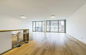 Apartment for rent, 4+kk - 3 bedrooms, 207m<sup>2</sup>