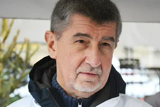 Babiš' prosecution is in Czech hands - EU anti-fraud head