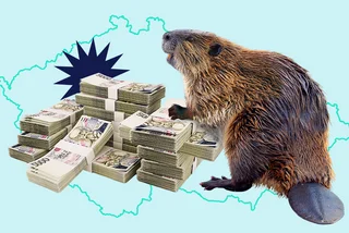 Dam good: How beavers saved Czechia millions and rescued a river