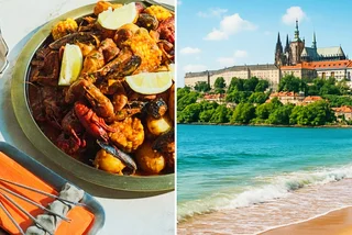 Czechia's seafood boom proves no coast is no problem