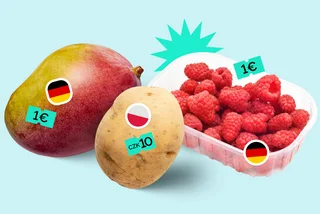 Why farmer's markets in Poland and Germany are worth a visit and what to buy