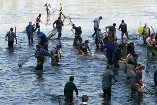 Fishing for Tradition