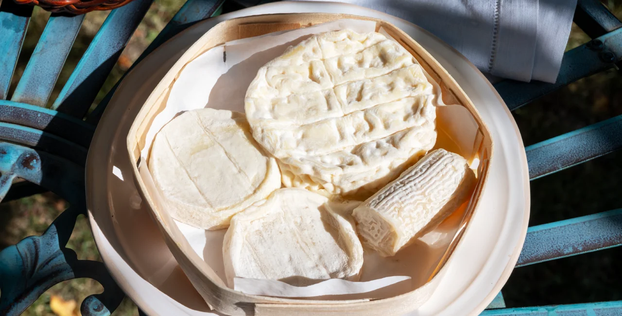 French cheese. Illustrative photo: Shutterstock / barmalini