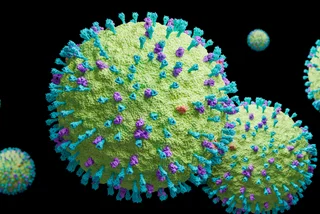 Czech epidemiologists calm fears about new virus outbreak from China