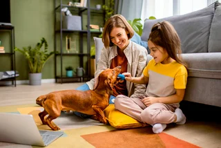 From furry friends to landlord access – the ins and outs of renters' rights in Czechia