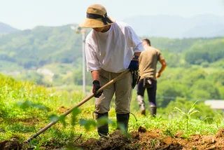 Thousands of Filipino workers headed to Czechia amid labor shortages