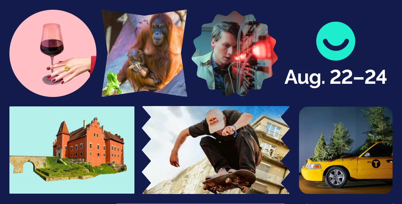 Kunsthalle Praha, Red Bull, NPU, Prague Zoo, Vlny