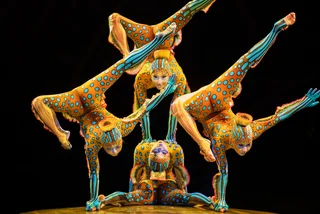 KURIOS – Cabinet of Curiosities. Photo: Matthew Tsang