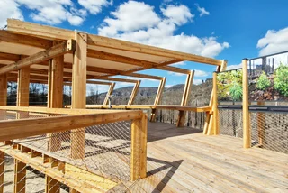 New lookout platform in Bohemian Switzerland showcases fire recovery