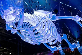The world's largest glass skeleton is now hanging in Prague