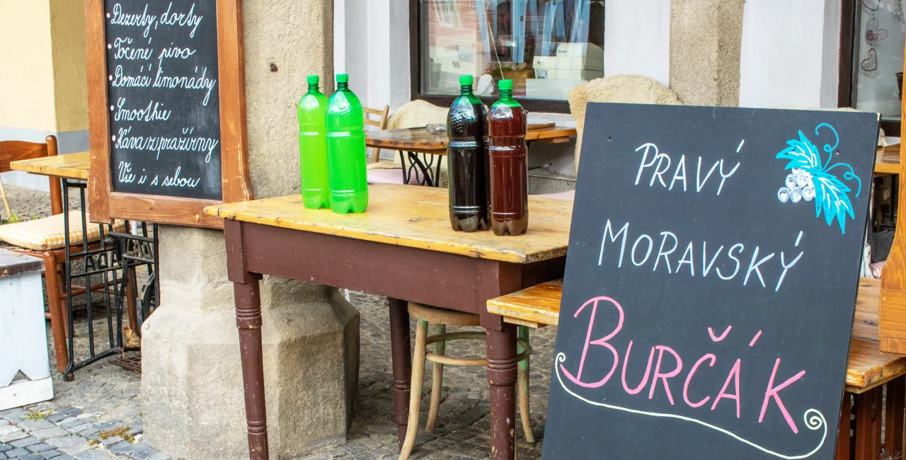 Czech burčák season delayed due to cool weather; when will it reach Prague?