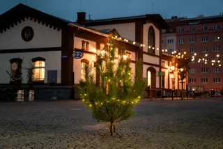 Rescue a tree or rent ornaments for a thrifty Christmas in Prague