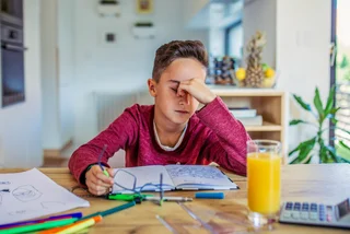Motivation for learning a second foreign language low among Czech pupils