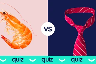QUIZ: Test your Czech vocabulary with these tricky word pairs