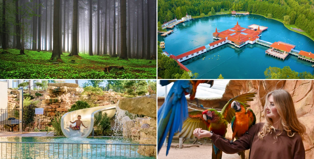 Cover_Ensana 4 escapes 2025 Ensana Mariánské Lázně, Ensana Aquahouse  Shutterstock by kaiser-v  Eko Park Piešťany