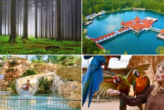 Forget the castles—these 4 European escapes are redefining the family vacation