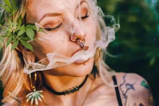 High society in Czechia: The lowdown on who uses cannabis and why