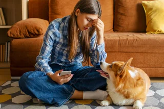 Dog owners face big struggle as Prague landlords say 'no' to pets