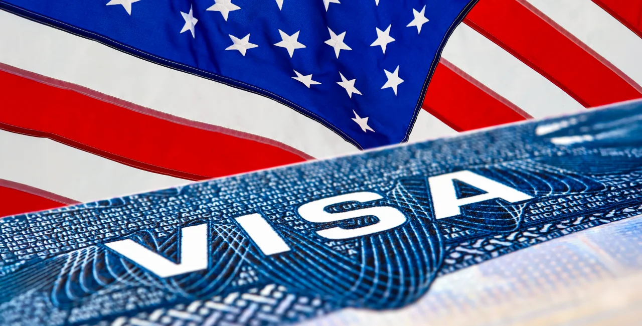 Shutterstock by Harun Ozmen