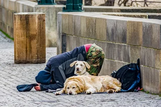 Prague wants to ban the homeless and street performers from using animals