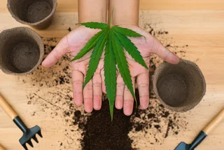 What Czechia’s new criminal code means for cannabis, hate crimes, and sex offenders