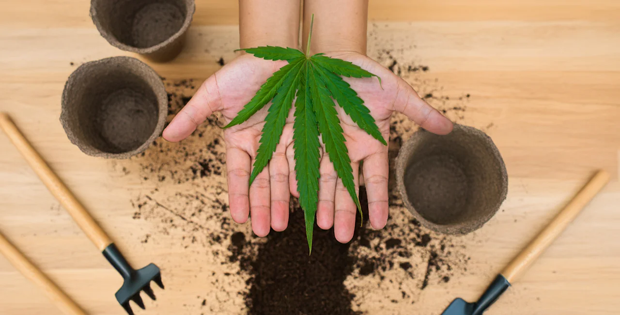 What Czechia’s new criminal code means for cannabis, hate crimes, and sex offenders