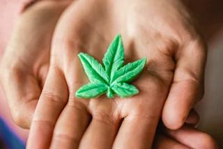 Czechia to regulate low-THC cannabis in 2025: Not a win for legalization, but a start