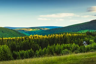 New animal species are appearing in Czechia's Krkonoše mountains
