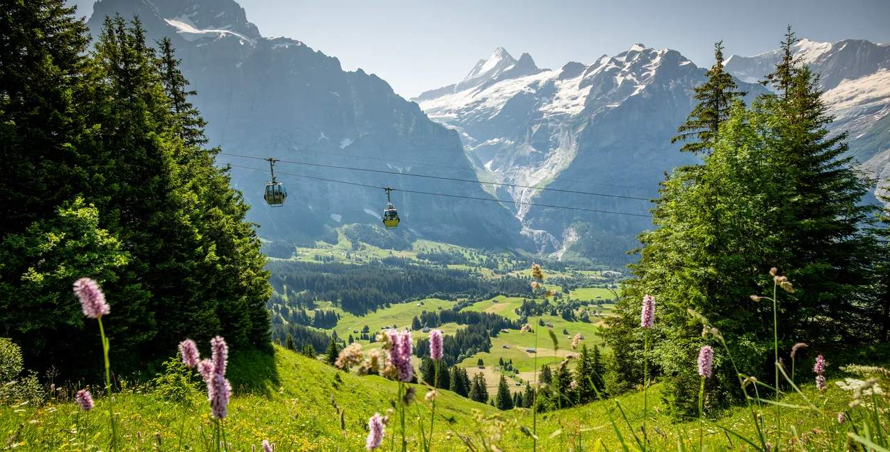 SWISS 05-2025 c Jungfraubahnen  Grindelwald-First-Firstbahn-vor-Wetter-und-Schreckhorn