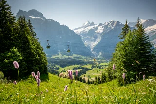 Snow in July and alpine adventure: Discover Switzerland’s coolest summer getaways