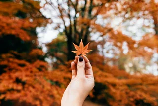 Top spots for fall foliage in Prague and beyond