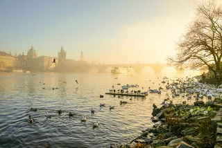 Czech Republic reports warmest New Year's Day on record